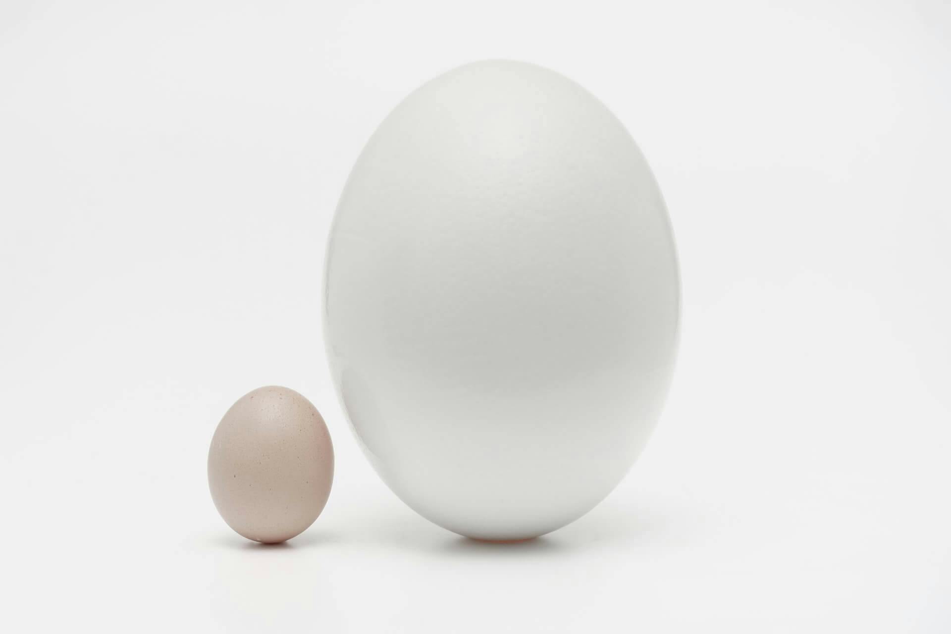 Um ovo branco grande ao lado de um ovo marrom pequeno, mostrando que tamanho é algo relativo por comparação