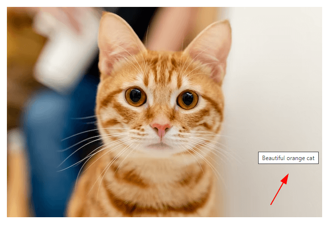 Tooltip que surge quando se posiciona o mouse sobre a imagem exibindo a mensagem "Beautiful orange cat"
