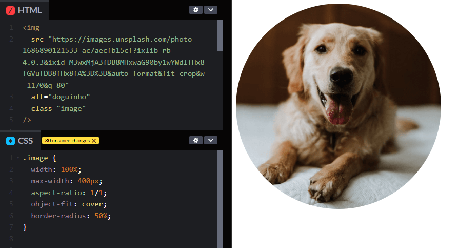código html e css ao lado da imagem de um cachorro em formato arredondado