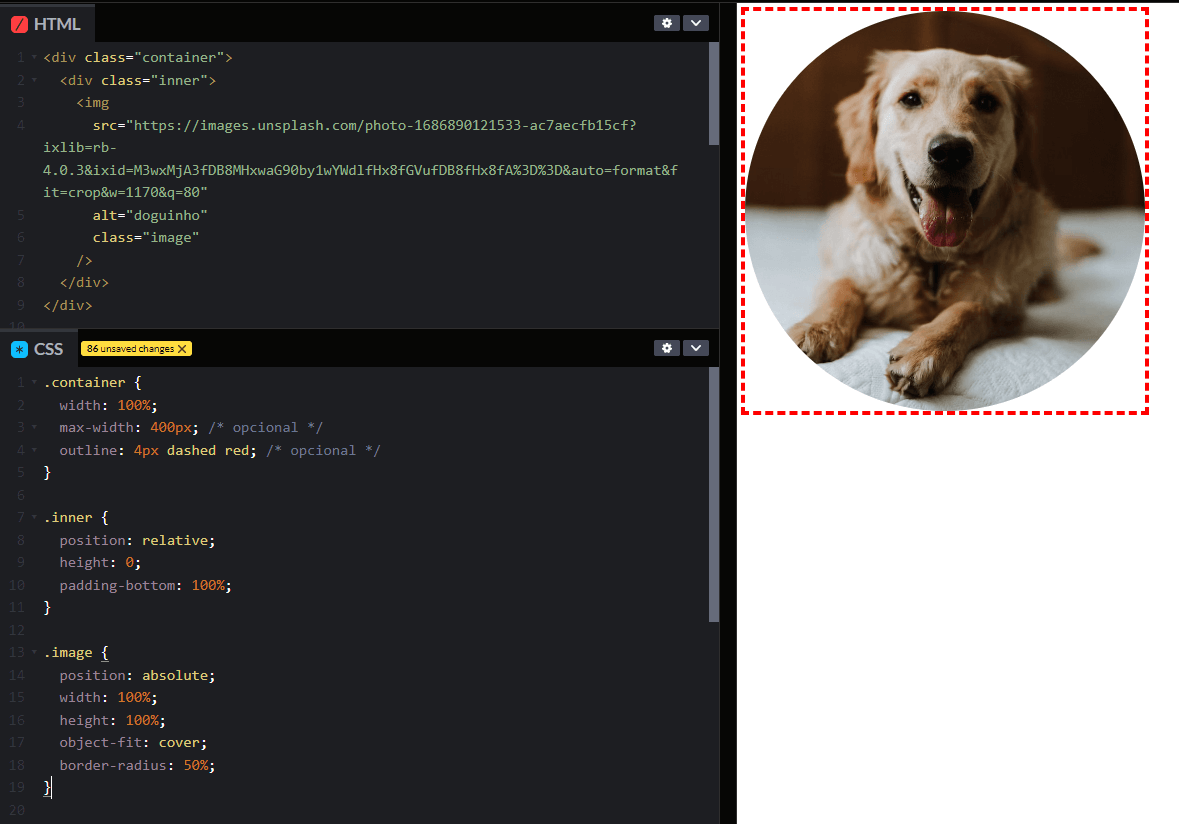 código html e css ao lado da imagem de um cachorro em formato arredondado com um pontilhado ao redor mostrando o container