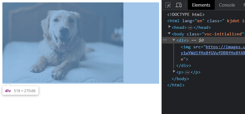 imagem em html ocupando a área de conteúdo de uma div